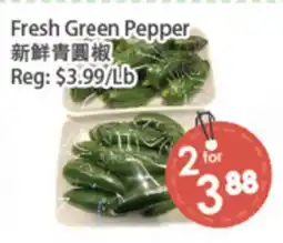 Fresh Palace Supermarket Fresh Green Pepper offer