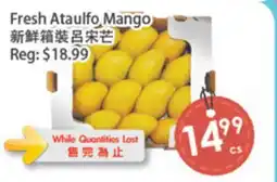 Fresh Palace Supermarket Fresh Ataulfo Mango offer