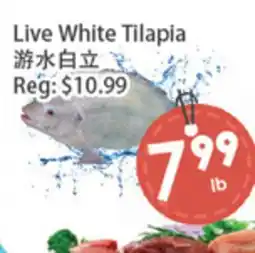 Fresh Palace Supermarket Live White Tilapia offer