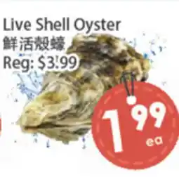 Fresh Palace Supermarket Live Shell Oyster offer