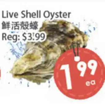 Fresh Palace Supermarket Live Shell Oyster offer