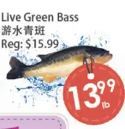 Fresh Palace Supermarket Live Green Bass offer