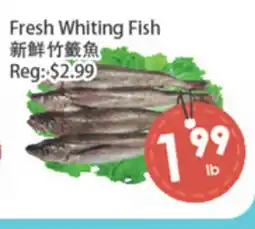 Fresh Palace Supermarket Fresh Whiting Fish offer