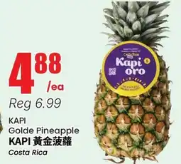 Terra Foodmart KAPI Golde Pineapple offer
