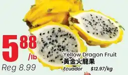 Terra Foodmart Yellow Dragon Fruit offer