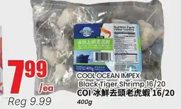 Terra Foodmart COOL OCEAN IMPEX Black Tiger Shrimp 16/20 offer
