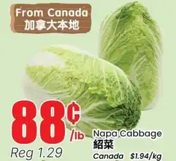 Terra Foodmart Napa Cabbage offer