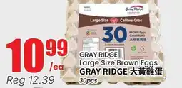 Terra Foodmart GRAY RIDGE Large Size Brown Eggs offer