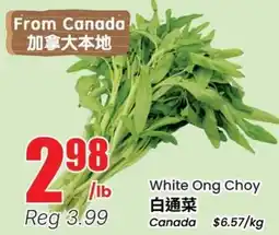 Terra Foodmart White Ong Choy offer