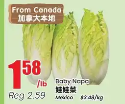 Terra Foodmart Baby Napa offer