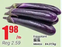 Terra Foodmart Eggplant offer