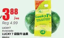 Terra Foodmart LUCKY7 Avocado offer
