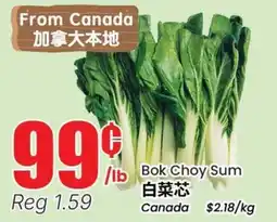 Terra Foodmart Bok Choy Sum offer