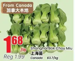 Terra Foodmart Shanghai Bok Choy Miu offer
