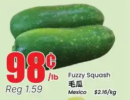 Terra Foodmart Fuzzy Squash offer