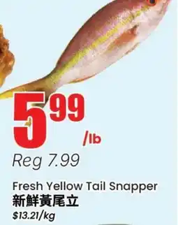 Terra Foodmart Fresh Yellow Tail Snapper offer