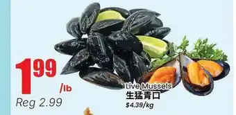 Terra Foodmart Live Mussels offer