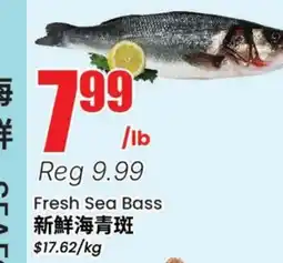 Terra Foodmart Fresh Sea Bass offer