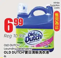 Terra Foodmart OLD DUTCH Laundry Detergent offer