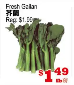 Yuan Ming Supermarket Fresh Gailan offer