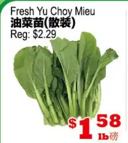 Yuan Ming Supermarket Fresh Yu Choy Mieu offer