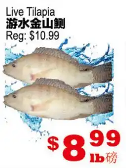 Yuan Ming Supermarket Live Tilapia offer