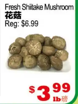 Yuan Ming Supermarket Fresh Shiitake Mushroom offer