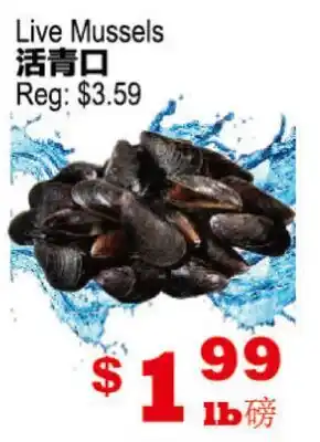 Yuan Ming Supermarket Live Mussels offer