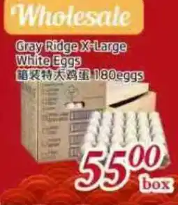 Tone Tai Supermarket Gray Ridge X-Large White Eggs offer