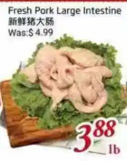 Tone Tai Supermarket Fresh Pork Large Intestine offer