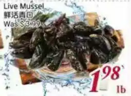 Tone Tai Supermarket Live Mussel offer