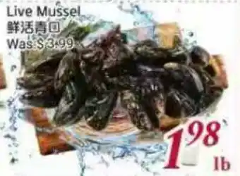 Tone Tai Supermarket Live Mussel offer