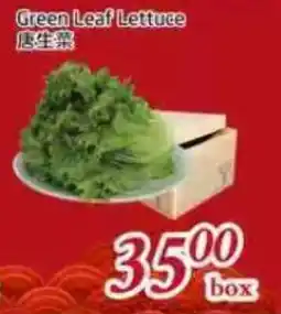 Tone Tai Supermarket Green Leaf Lettuce offer