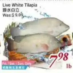 Tone Tai Supermarket Live White Tilapia offer