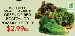 Fiesta Farms GREEN OR RED BOSTON, OR ROMAINE LETTUCE offer
