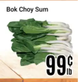 Nations Fresh Foods Bok Choy Sum offer
