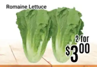 Nations Fresh Foods Romaine Lettuce offer
