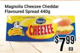 Nations Fresh Foods Magnolia Cheezee Cheddar Flavoured Spread offer