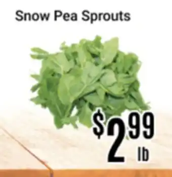 Nations Fresh Foods Snow Pea Sprouts offer