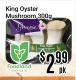 Nations Fresh Foods King Oyster Mushroom offer