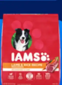 Walmart IAMS dry dog food offer