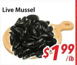 Bestco Food Mart Live Mussel offer