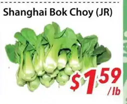 Bestco Food Mart Shanghai Bok Choy (JR) offer