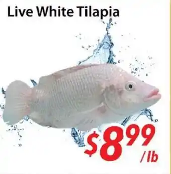 Bestco Food Mart Live White Tilapia offer