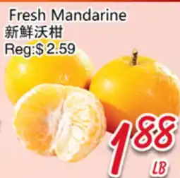 Foody Mart Fresh Mandarine offer