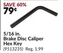 Princess Auto 5/16 in. Brake Disc Caliper Hex Key offer