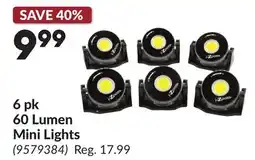Princess Auto 6 pk 60 Lumen Mini Lights offer