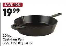 Princess Auto 10 in. Cast-Iron Pan offer