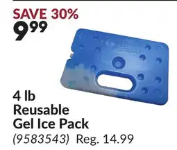 Princess Auto 4 lb Reusable Gel Ice Pack offer