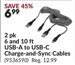 Princess Auto 2 pk 6 and 10 ft USB-A to USB-C Charge-and-Sync Cables offer